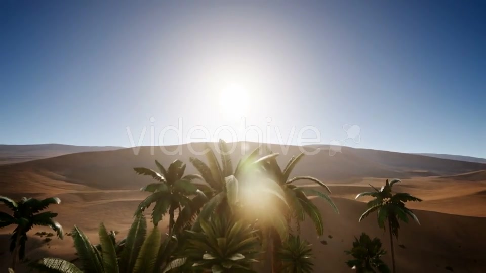 Erg Chebbi Dunes in the Sahara Desert - Download Videohive 20881286