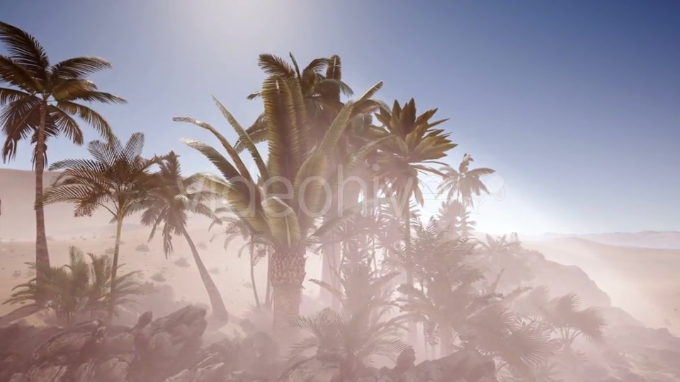 Erg Chebbi Dunes in the Sahara Desert - Download Videohive 20881299