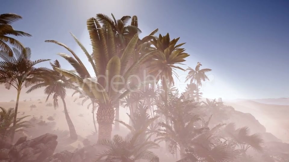 Erg Chebbi Dunes in the Sahara Desert - Download Videohive 20881299