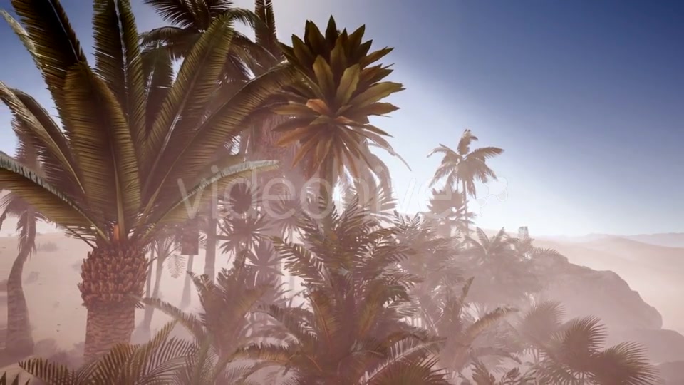 Erg Chebbi Dunes in the Sahara Desert - Download Videohive 21041274