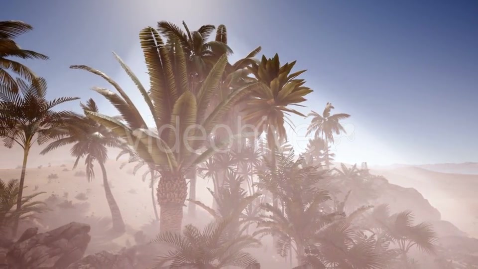 Erg Chebbi Dunes in the Sahara Desert - Download Videohive 21041274