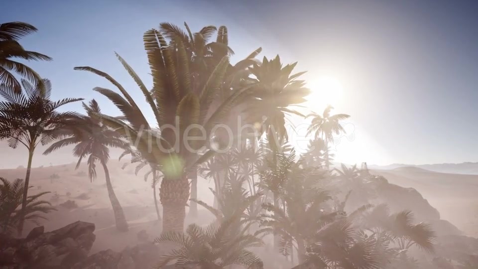 Erg Chebbi Dunes in the Sahara Desert - Download Videohive 21082264