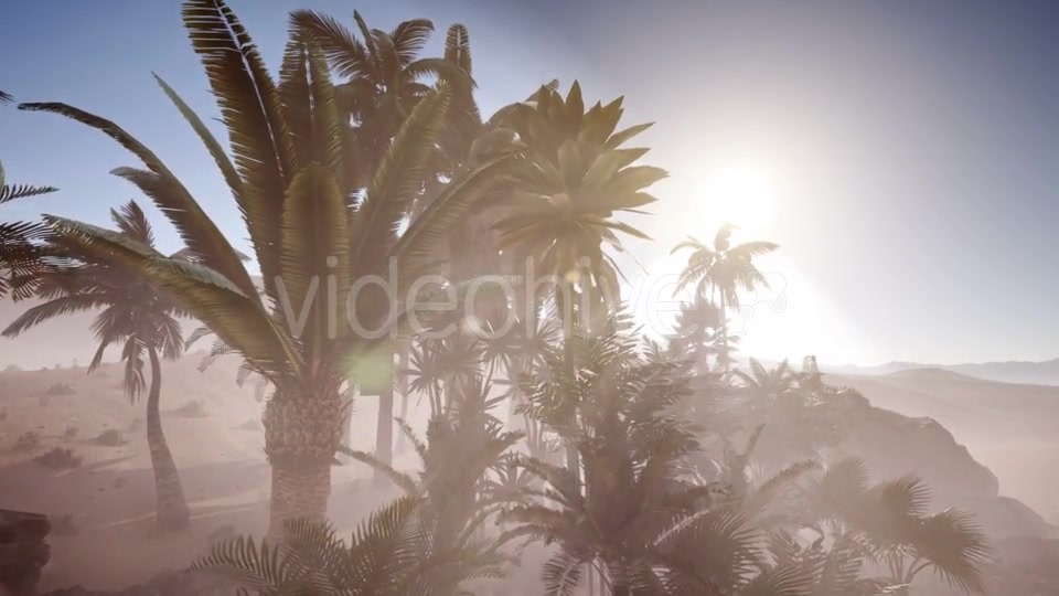 Erg Chebbi Dunes in the Sahara Desert - Download Videohive 21082264