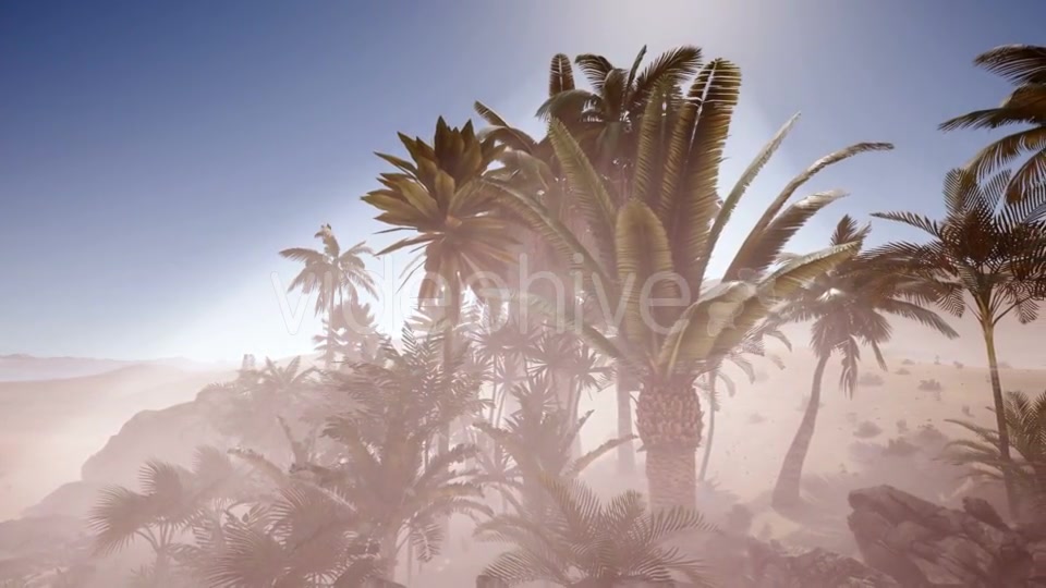 Erg Chebbi Dunes in the Sahara Desert - Download Videohive 21166716