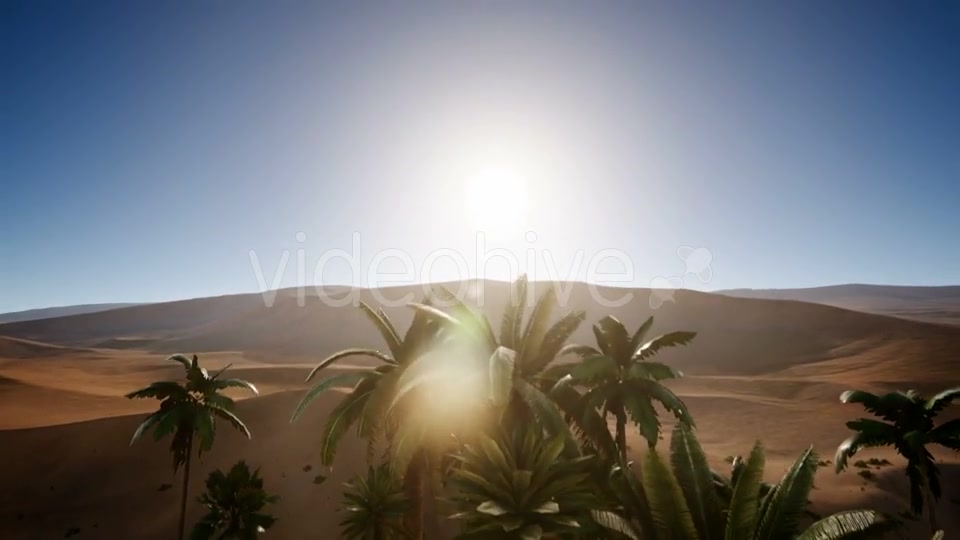 Erg Chebbi Dunes in the Sahara Desert - Download Videohive 21204805