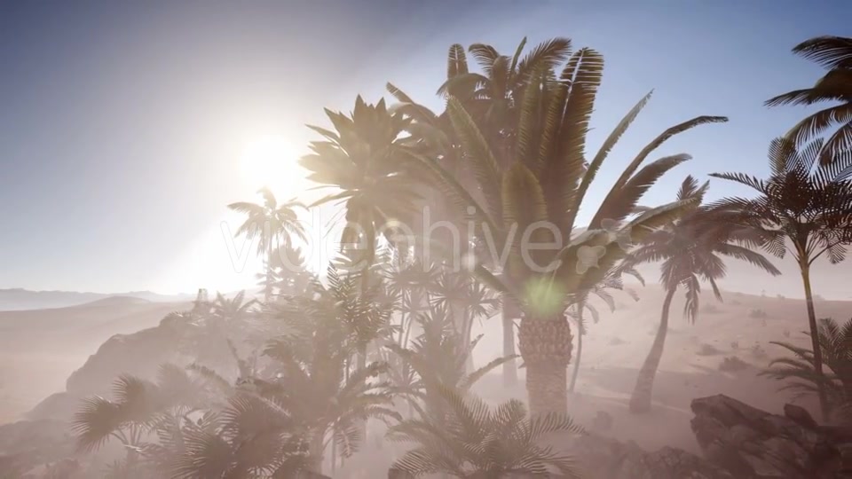Erg Chebbi Dunes in the Sahara Desert - Download Videohive 21225299