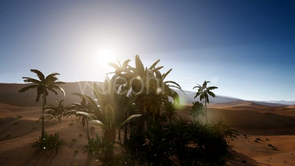 Erg Chebbi Dunes in the Sahara Desert - Download Videohive 21313687