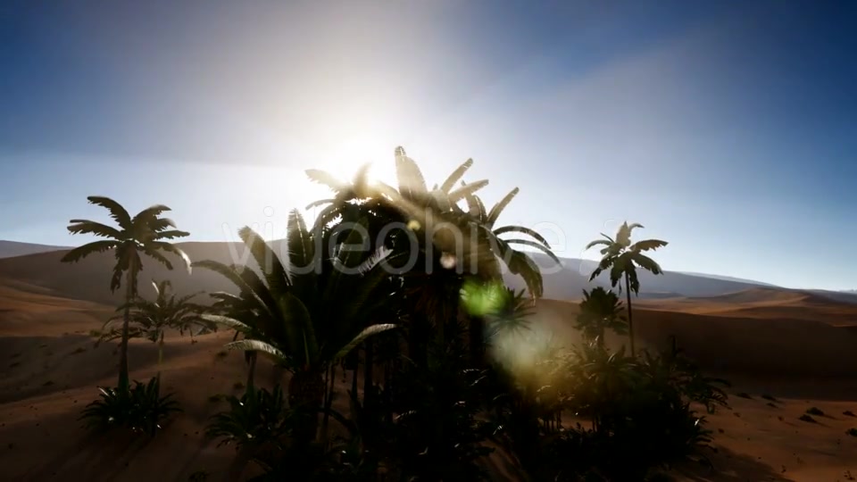 Erg Chebbi Dunes in the Sahara Desert - Download Videohive 21313687