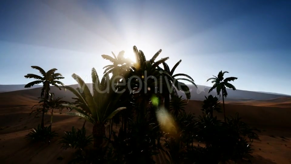 Erg Chebbi Dunes in the Sahara Desert - Download Videohive 21313687