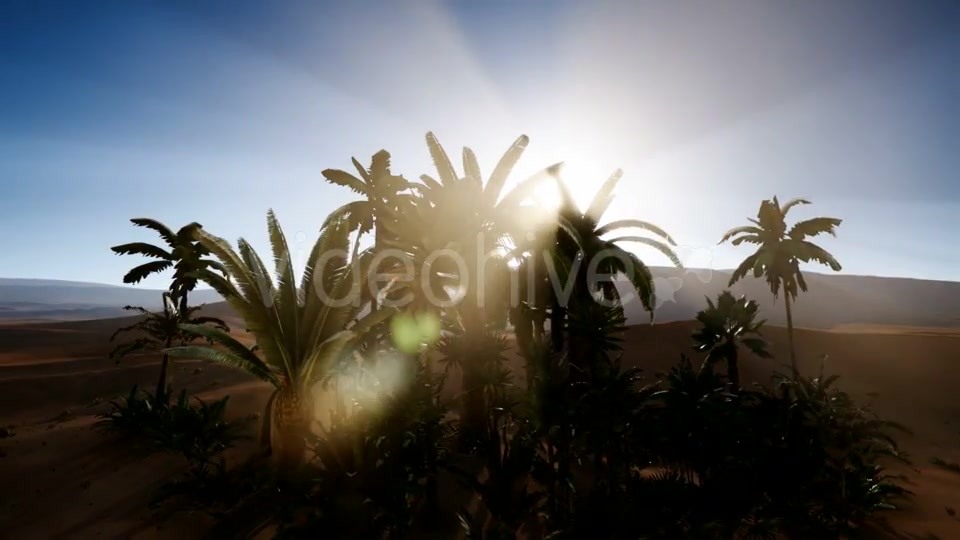 Erg Chebbi Dunes in the Sahara Desert - Download Videohive 21313687