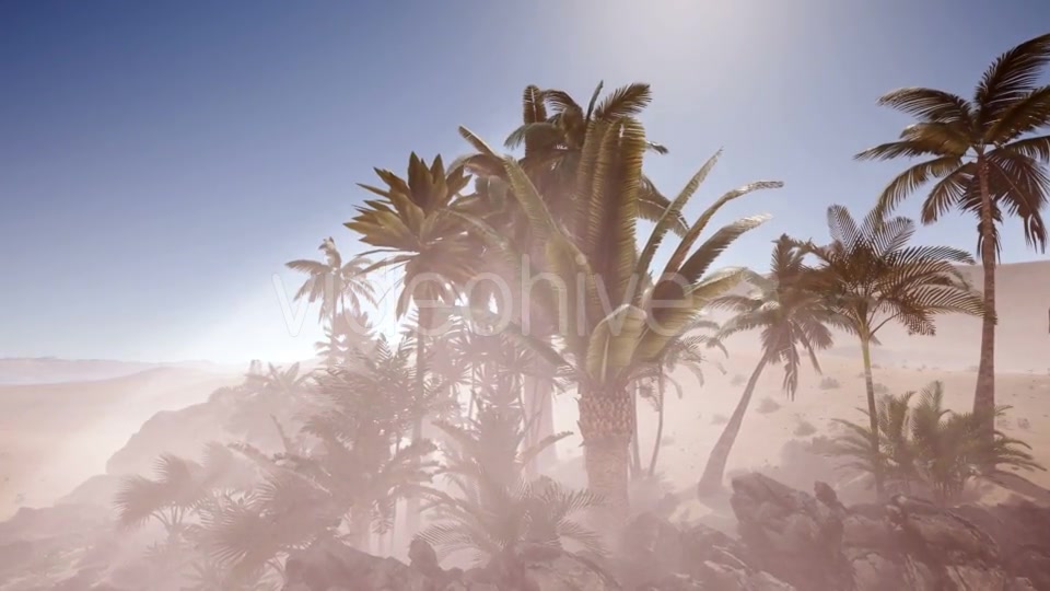 Erg Chebbi Dunes in the Sahara Desert - Download Videohive 21441055