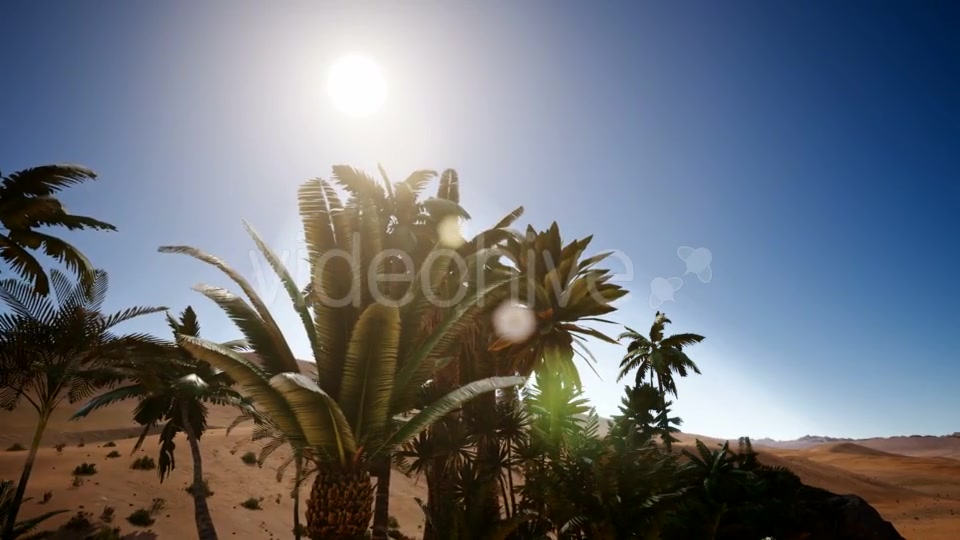 Erg Chebbi Dunes in the Sahara Desert - Download Videohive 21532052