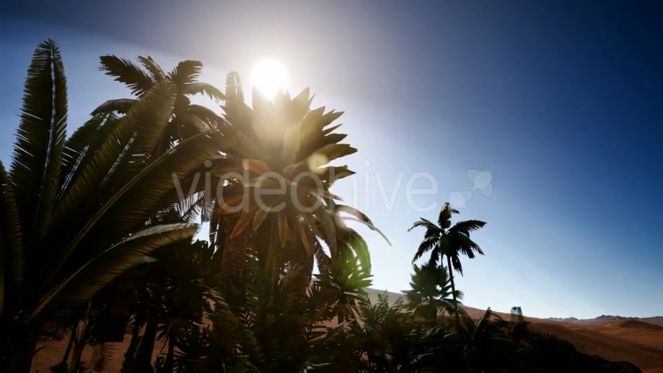 Erg Chebbi Dunes in the Sahara Desert - Download Videohive 21532052