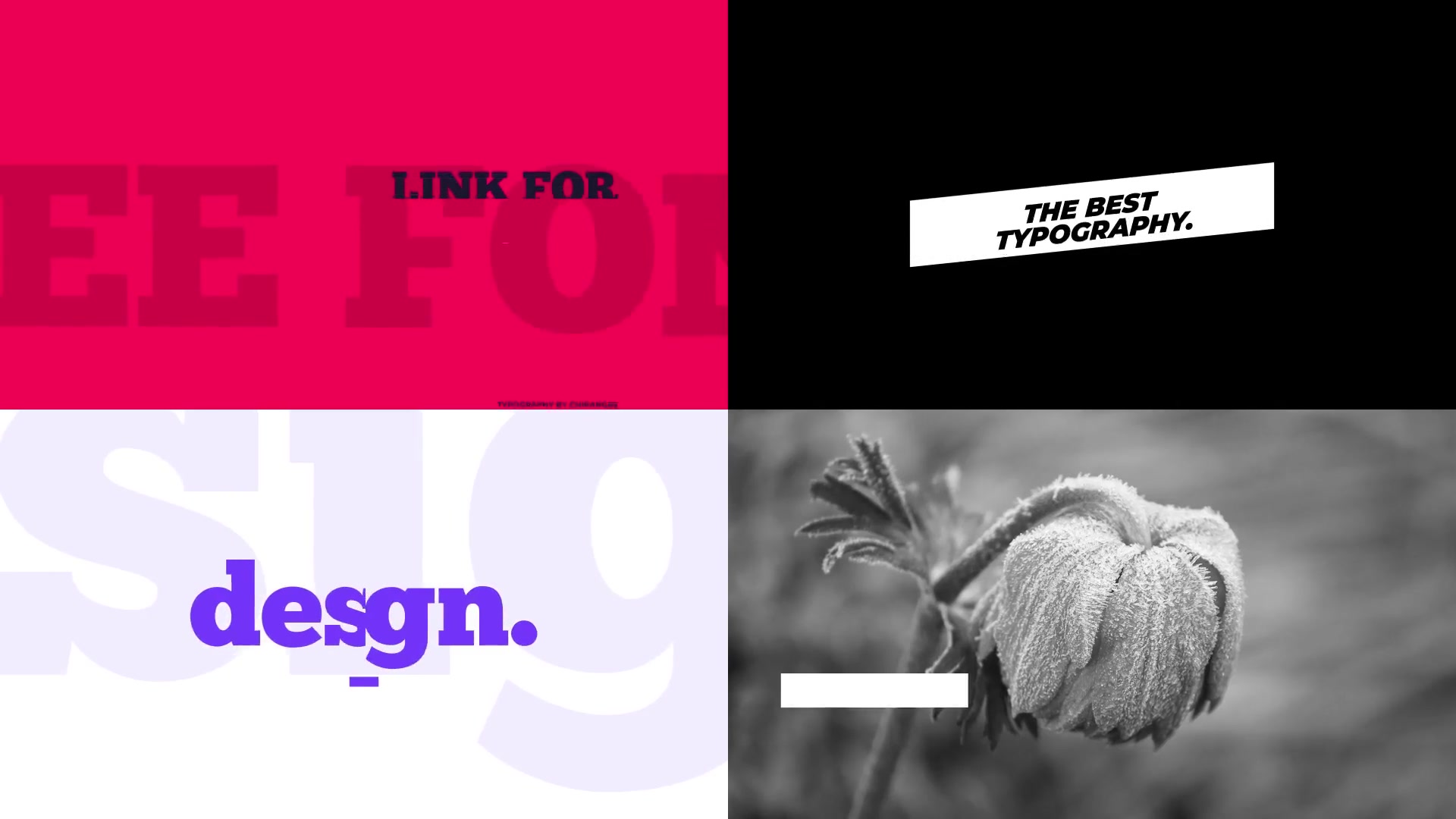 Essential Titles and Typography Videohive 23151881 Premiere Pro Image 5