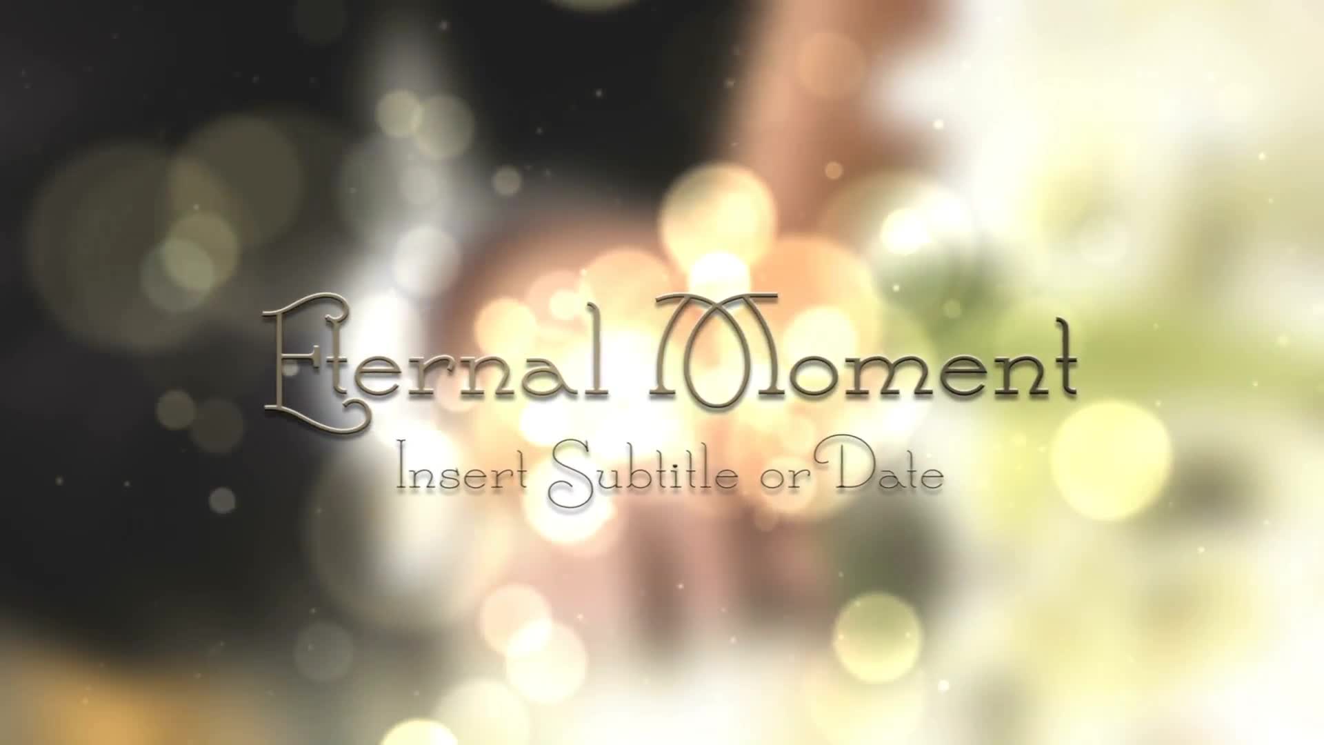 Eternal Moment Wedding - Download Videohive 7647167