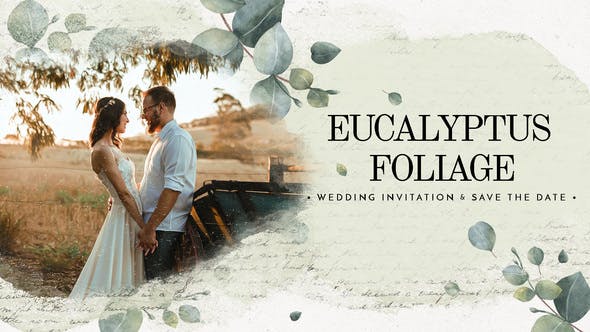 Eucalyptus Foliage Wedding Invitation Save the Date - Download 38337115 Videohive