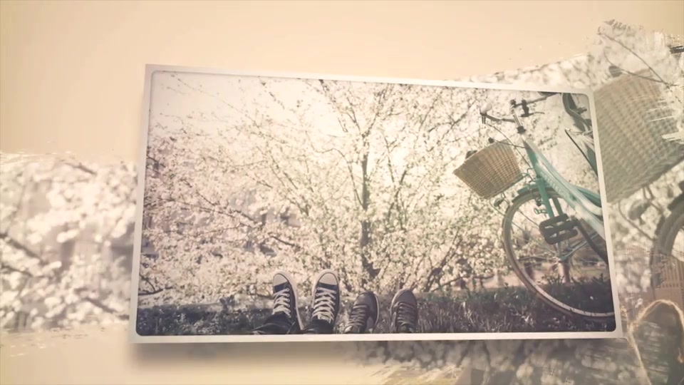 Everlasting Moment Videohive 19632013 After Effects Image 5