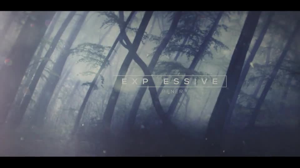 Expressive Opener - Download Videohive 12260841