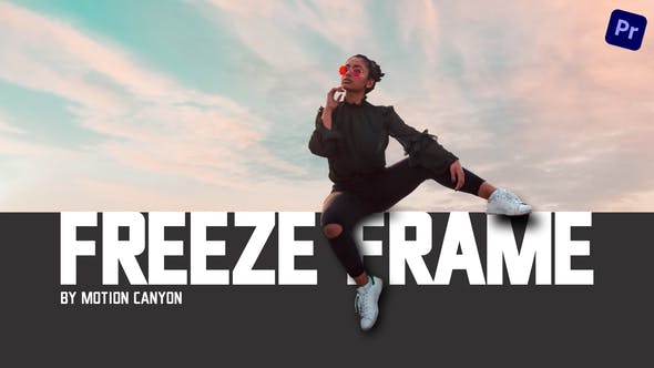 Exquisite Freeze Frame - Download Videohive 39177764
