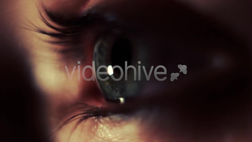 Eye  Videohive 5407595 Stock Footage Image 10