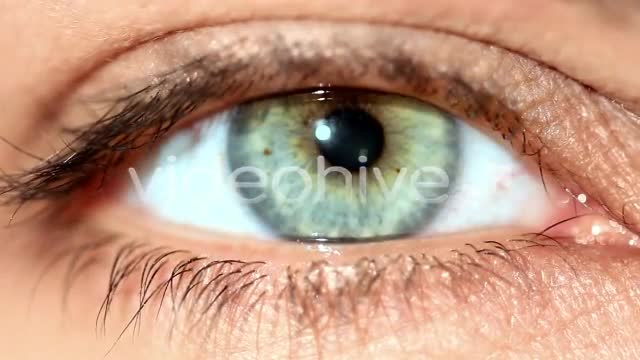 Eye  Videohive 159315 Stock Footage Image 1