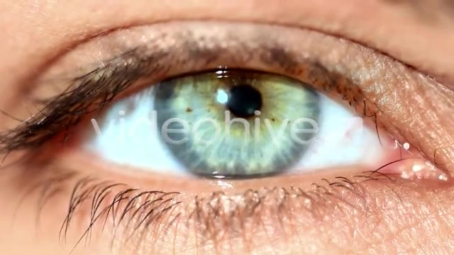 Eye  Videohive 159315 Stock Footage Image 2
