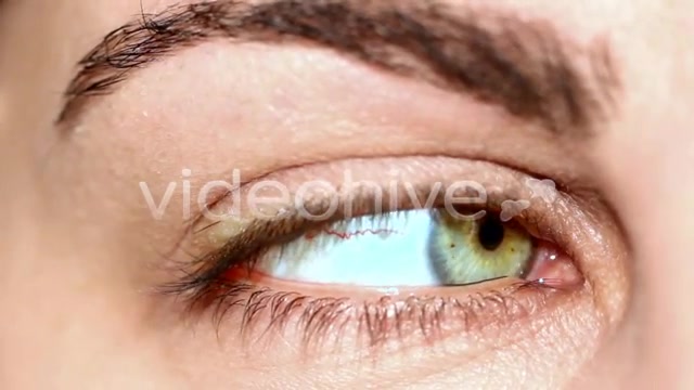 Eye  Videohive 159315 Stock Footage Image 5