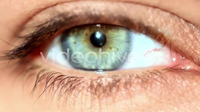 Eye  Videohive 159315 Stock Footage Image 7