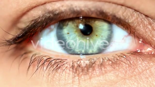 Eye  Videohive 159315 Stock Footage Image 8