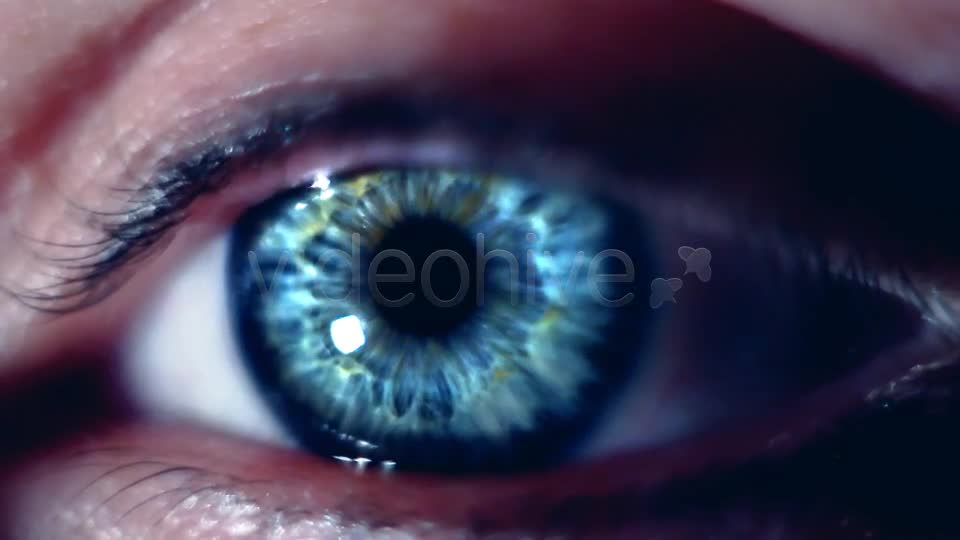 Eye Macro  Videohive 7414857 Stock Footage Image 1