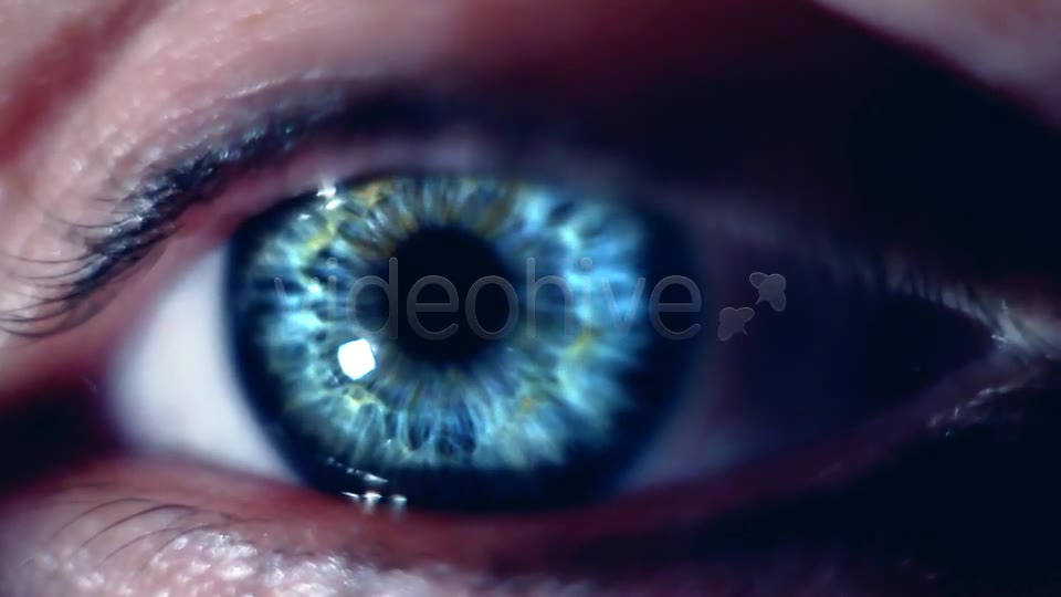 Eye Macro  Videohive 7414857 Stock Footage Image 2