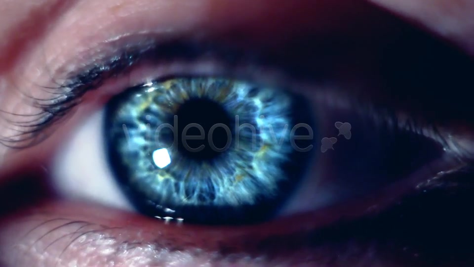 Eye Macro  Videohive 7414857 Stock Footage Image 3