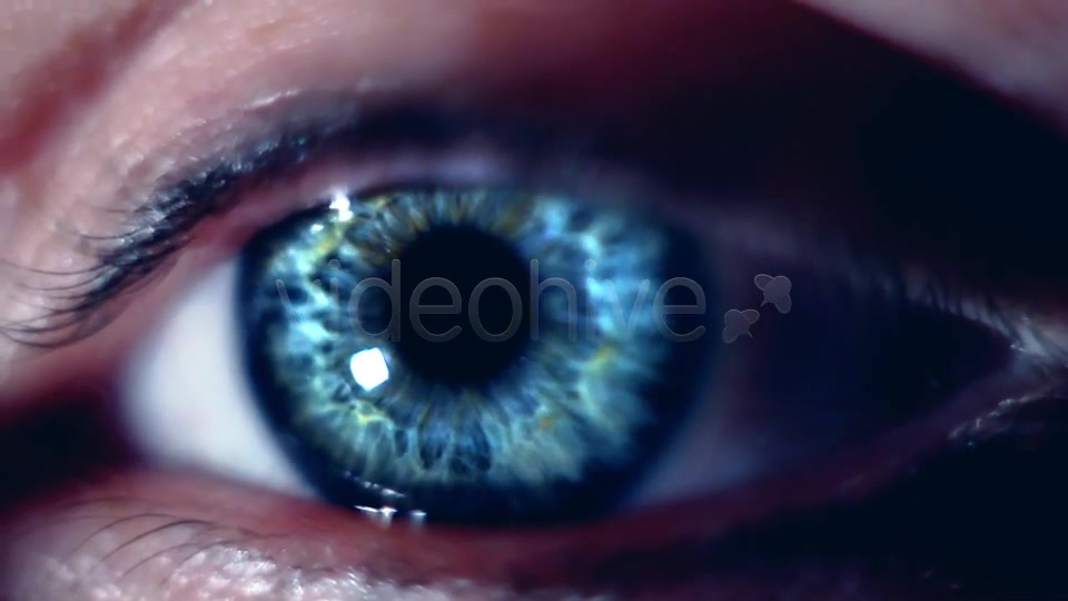 Eye Macro  Videohive 7414857 Stock Footage Image 4