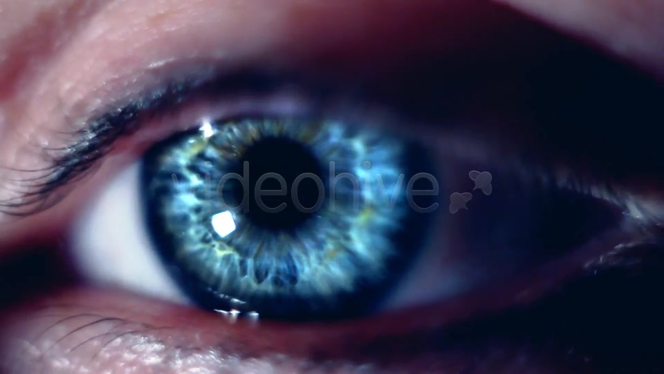 Eye Macro  Videohive 7414857 Stock Footage Image 5