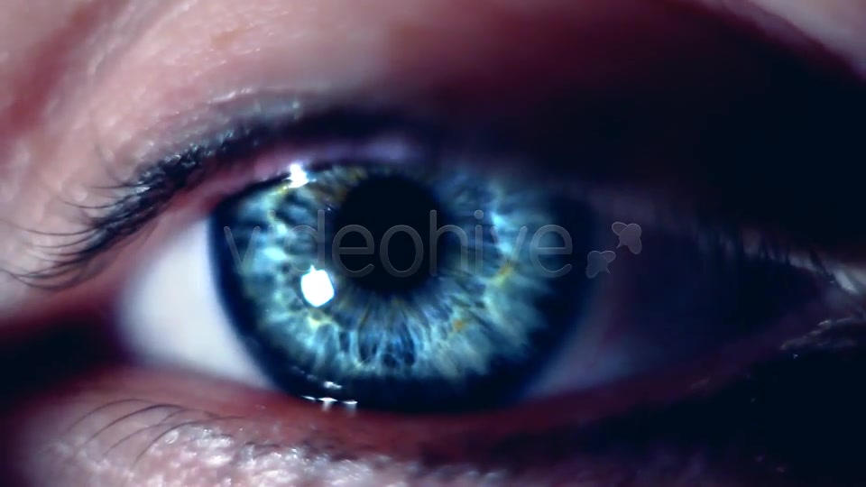 Eye Macro  Videohive 7414857 Stock Footage Image 6