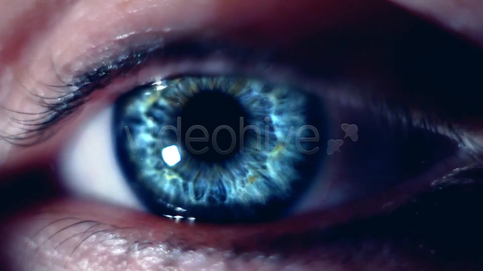 Eye Macro  Videohive 7414857 Stock Footage Image 7