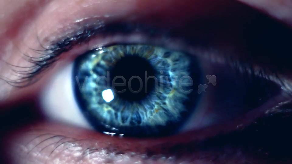 Eye Macro  Videohive 7414857 Stock Footage Image 8