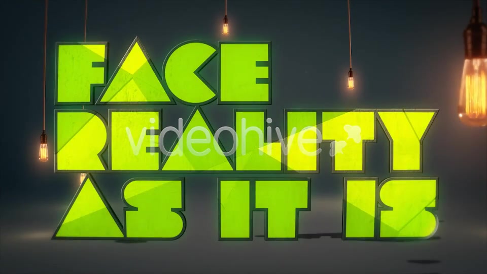 Face Reality As It Is - Download Videohive 4804149