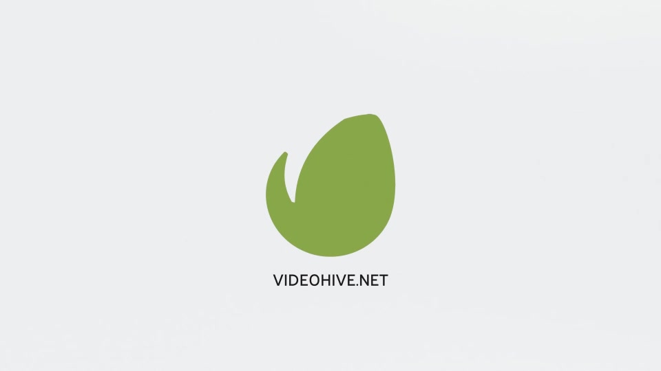 Facebook Logo Videohive 30338002 DaVinci Resolve Image 7