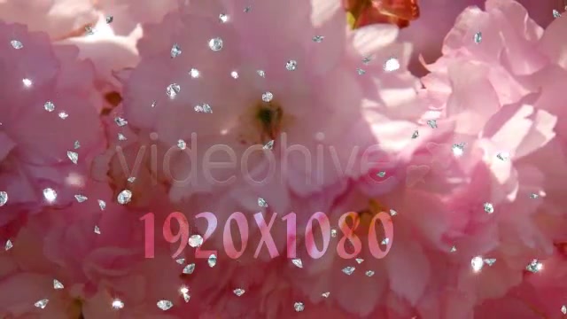 Falling Diamonds (4 Different overlays) Videohive 156459 Motion Graphics Image 7