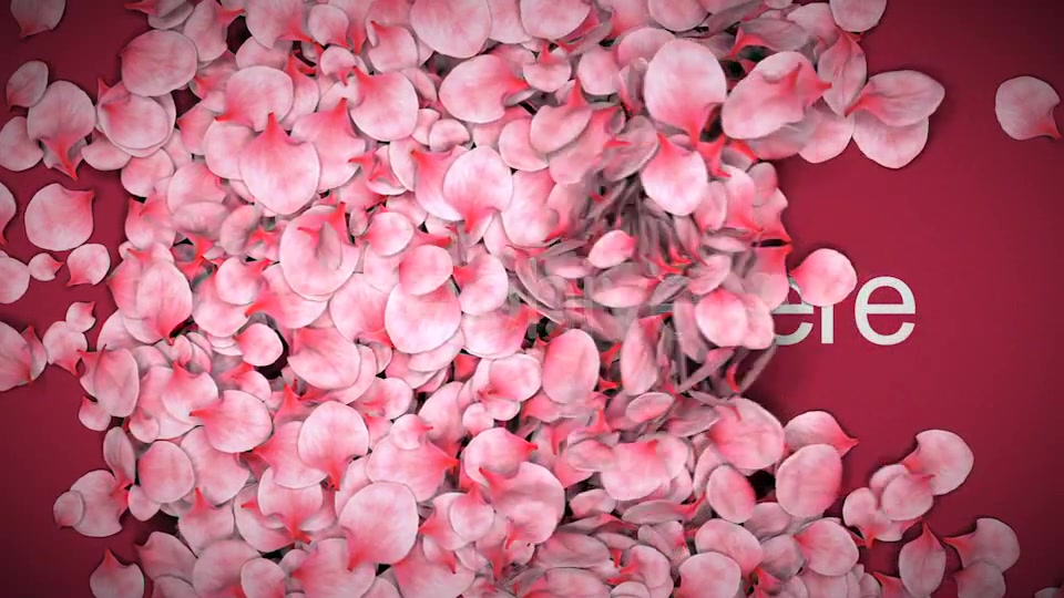 Falling Flower Petals - Download Videohive 4180499