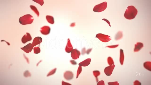 Falling Red Rose Petals Background 4K - Download Videohive 20337417