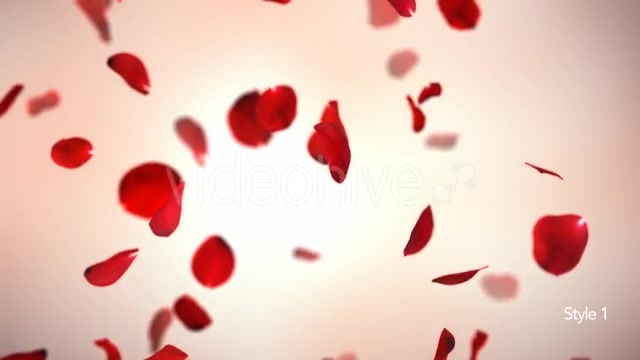 Falling Red Rose Petals Background 4K - Download Videohive 20337417