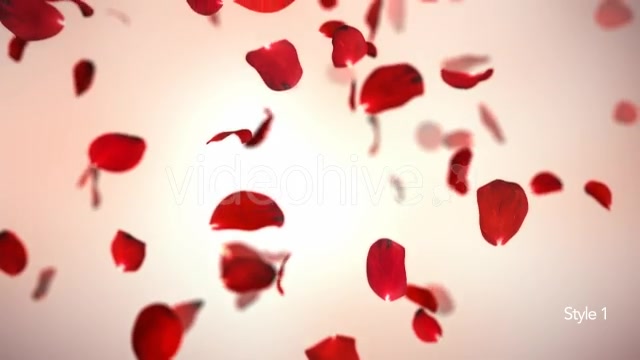 Falling Red Rose Petals Background 4K - Download Videohive 20337417