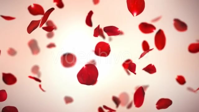 Falling Red Rose Petals Background 4K - Download Videohive 20337417