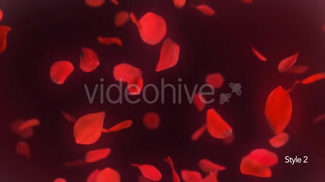 Falling Red Rose Petals Background 4K - Download Videohive 20337417