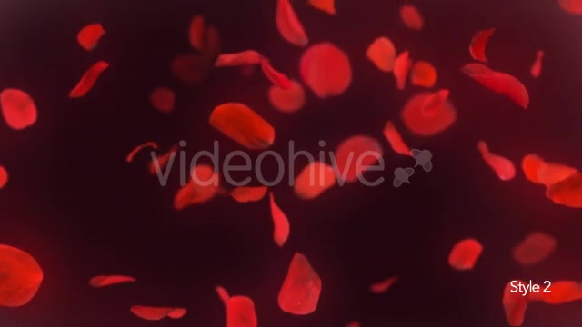 Falling Red Rose Petals Background 4K - Download Videohive 20337417