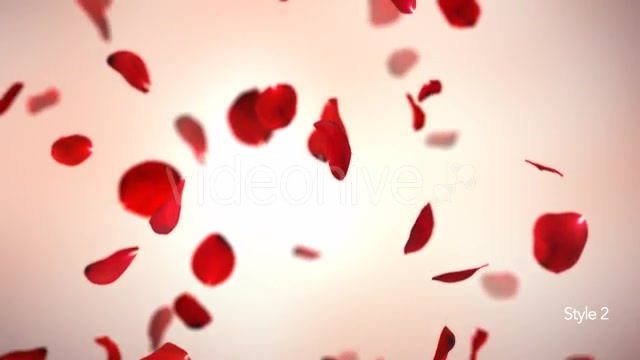 Falling Red Rose Petals Background Videohive 14390901 Motion Graphics Image 3