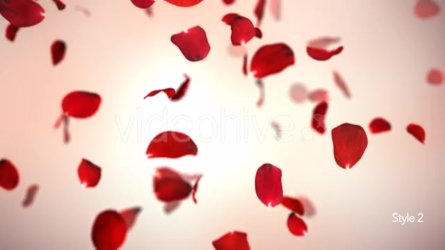 Falling Red Rose Petals Background Videohive 14390901 Motion Graphics Image 4