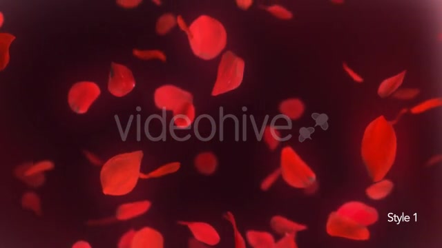 Falling Red Rose Petals Background Videohive 14390901 Motion Graphics Image 7